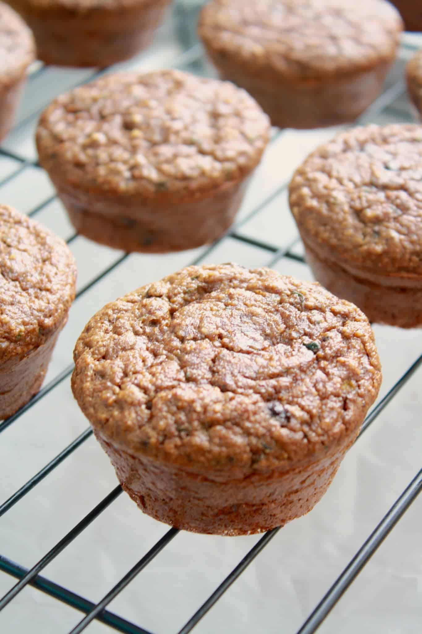 Chocolate Zucchini Protein Muffins