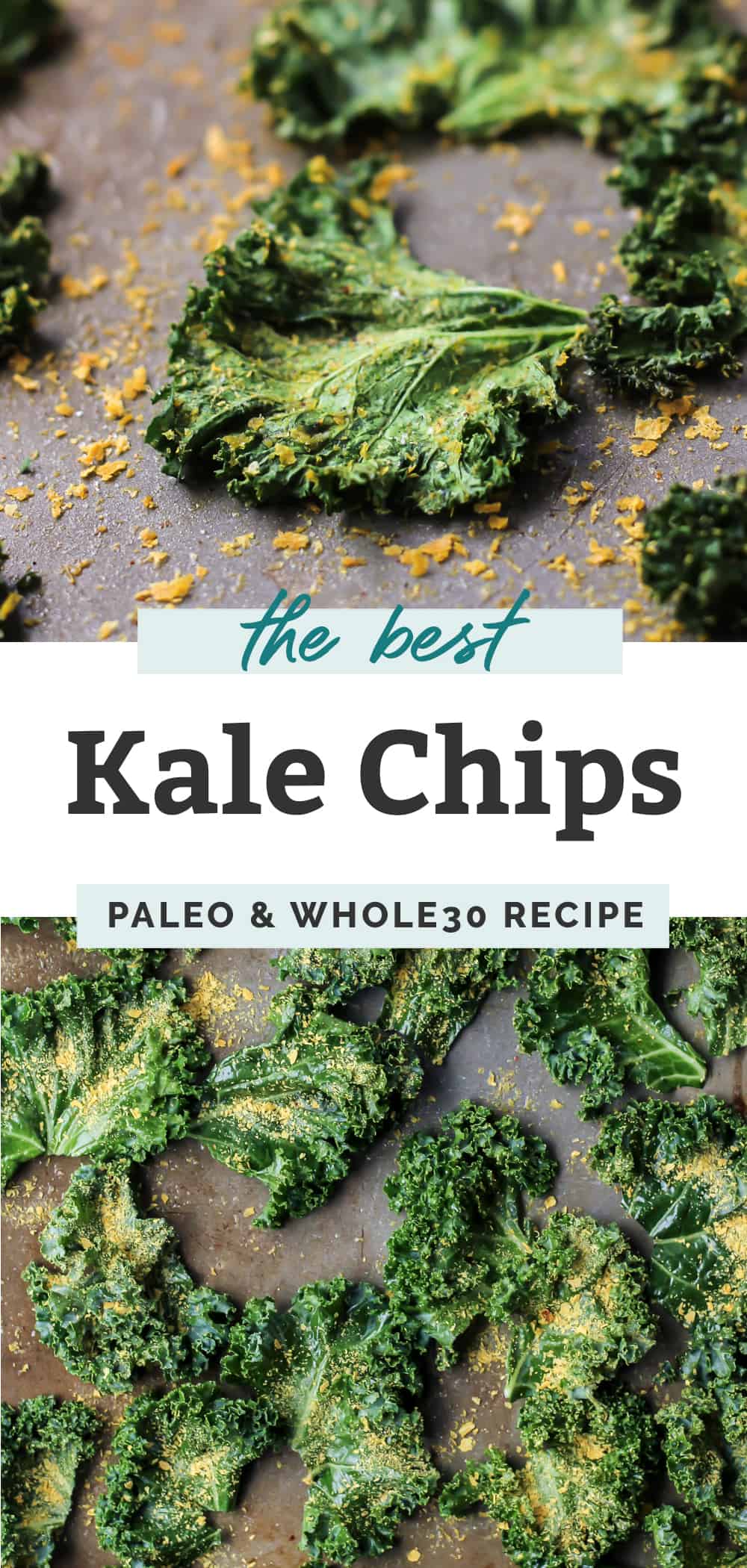 Seriously the Best Kale Chips {vegan, paleo} • Fit Mitten Kitchen