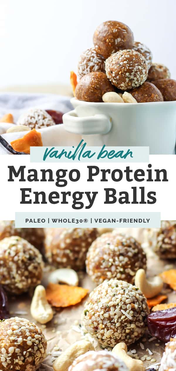 Vanilla Bean Closeup