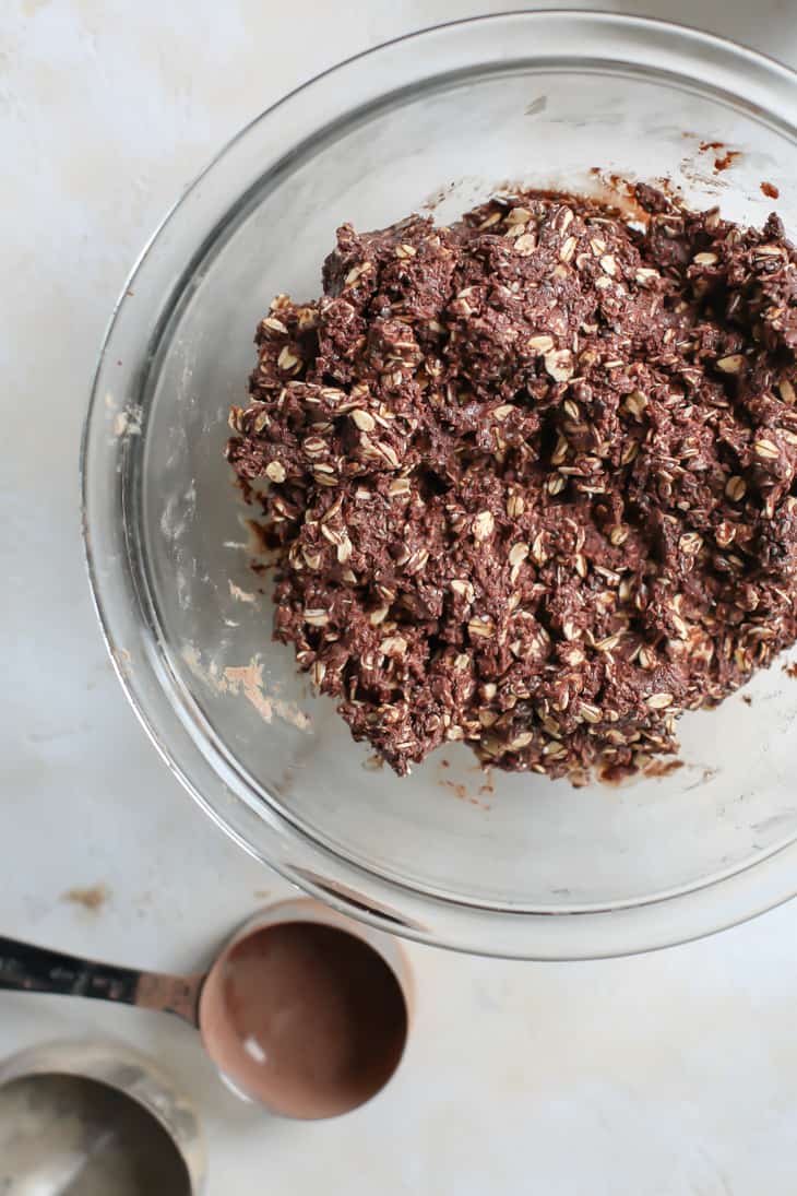 Chocolate Oat Protein Bars • Fit Mitten Kitchen